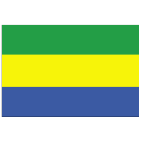 drapeau-gabon-5075-cm.jpg